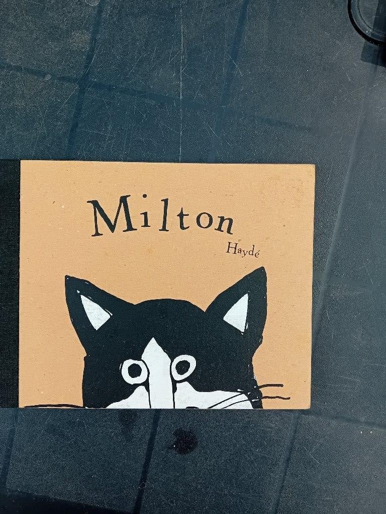 Milton, Gelezen, 5 of 6 jaar, Fictie algemeen, Jongen of Meisje