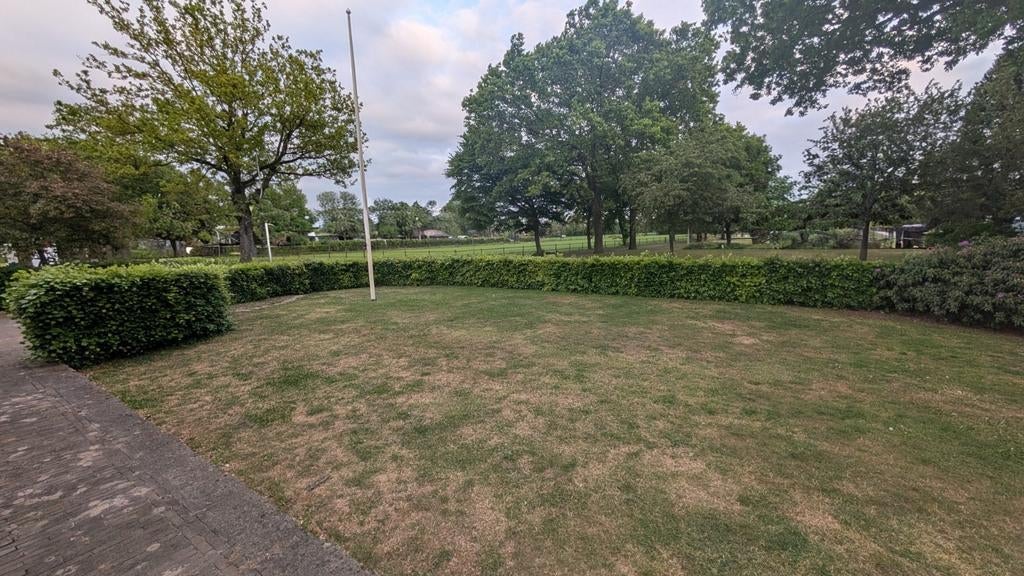 Beukenhaag, Tuin en Terras, Ophalen, Beukenhaag, Haag, 100 tot 250 cm
