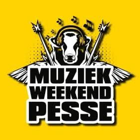 6 kaarten/tickets Pesse vrijdag 29 mei muziekweekend, Tickets en Kaartjes, Twee personen