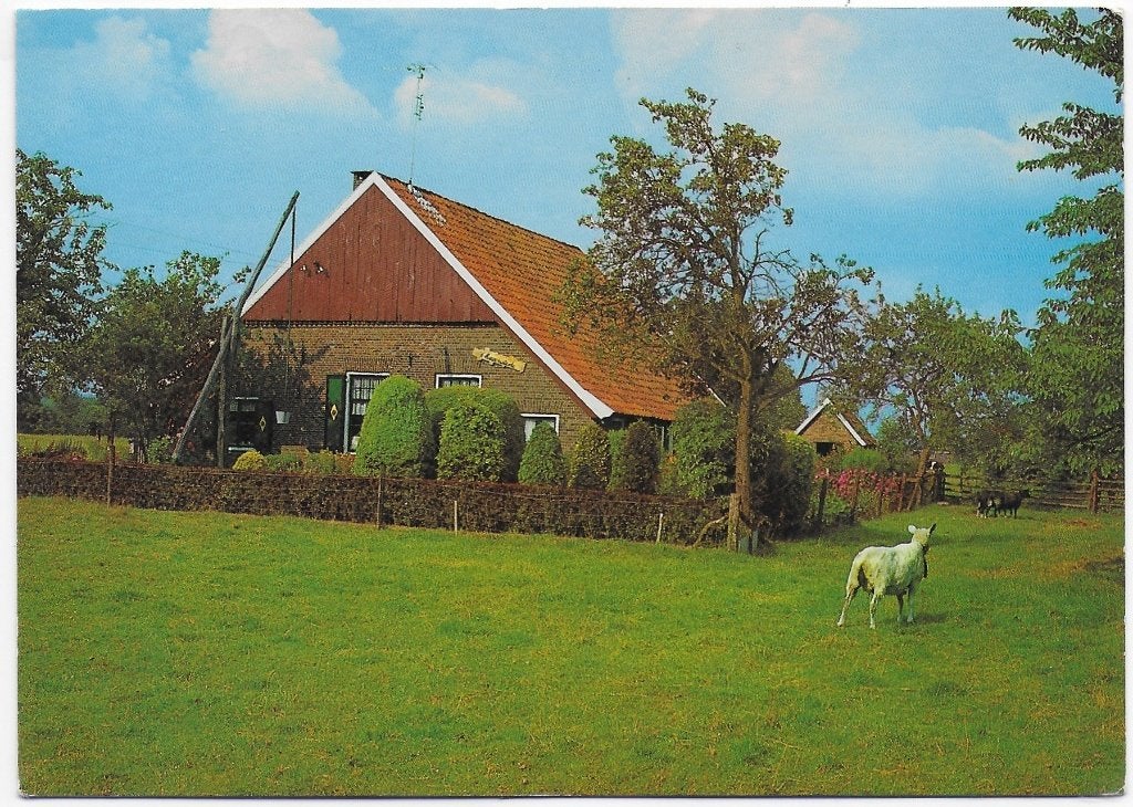 Winterswijk boerderij gelopen Ansichtkaart (B2408 ), Ophalen of Verzenden, 1980 tot heden, Gelopen, Gelderland