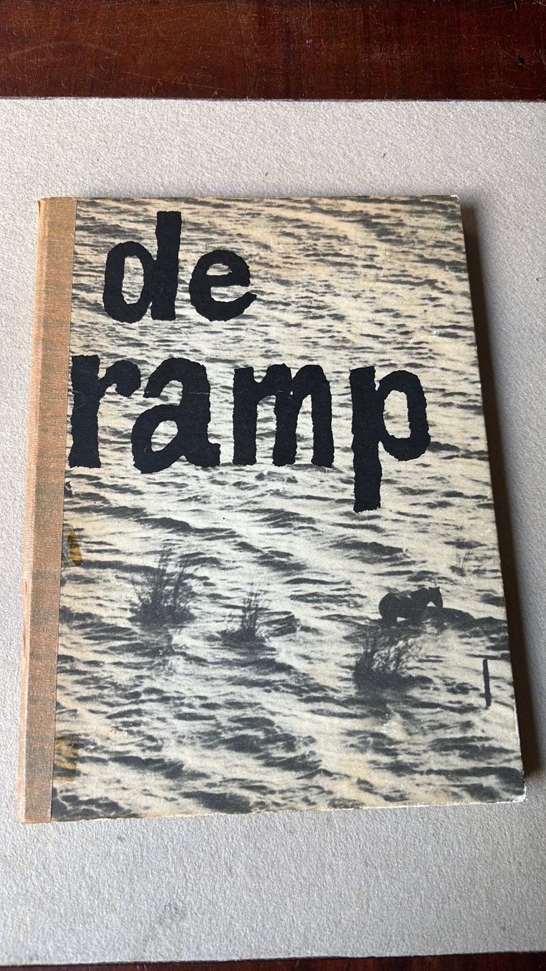 De ramp - Watersnoodramp 1953, Boeken, Ophalen of Verzenden, Zo goed als nieuw