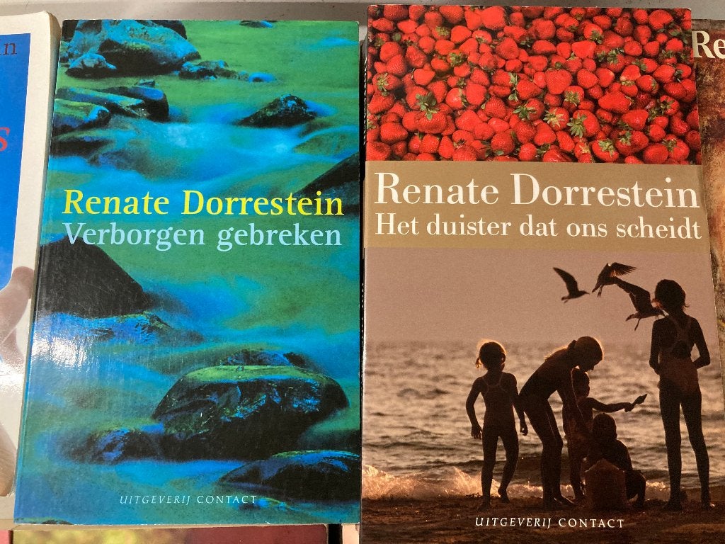 T.K. nog 21 boeken van Renate Dorrestein Zie Actuele lijst, Ophalen of Verzenden, Gelezen, Renate Dorrestein, Nederland