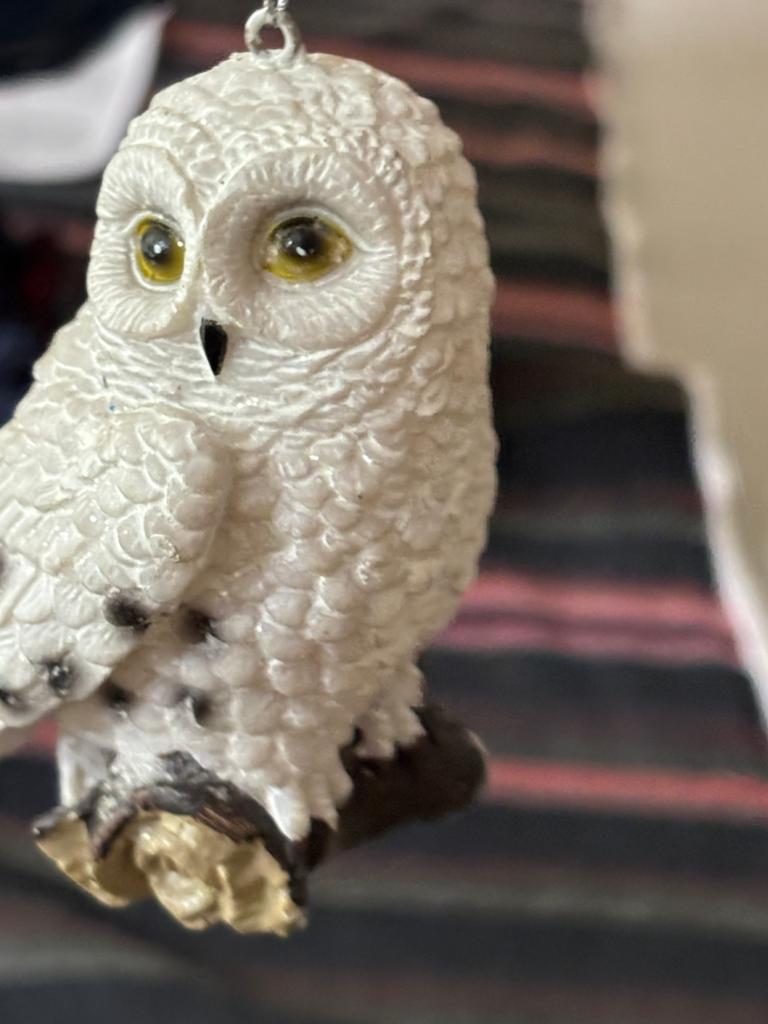 Beeldje-sneeuw uil, Dieren en Toebehoren, Vogels | Overige Vogels, Meerdere dieren