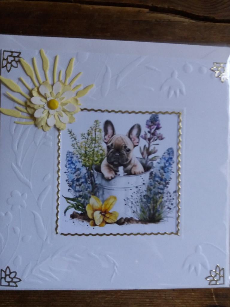 Blanko kaartje met Bulletje no. 2424, Ophalen of Verzenden, Nieuw, Dieren