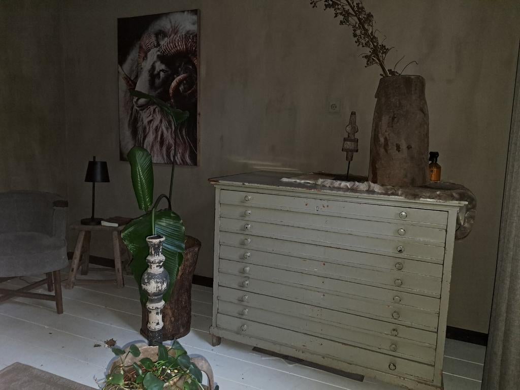 Antieke houten ladenkast met 10 laden - Grijsgroen, Antiek en Kunst, Ophalen