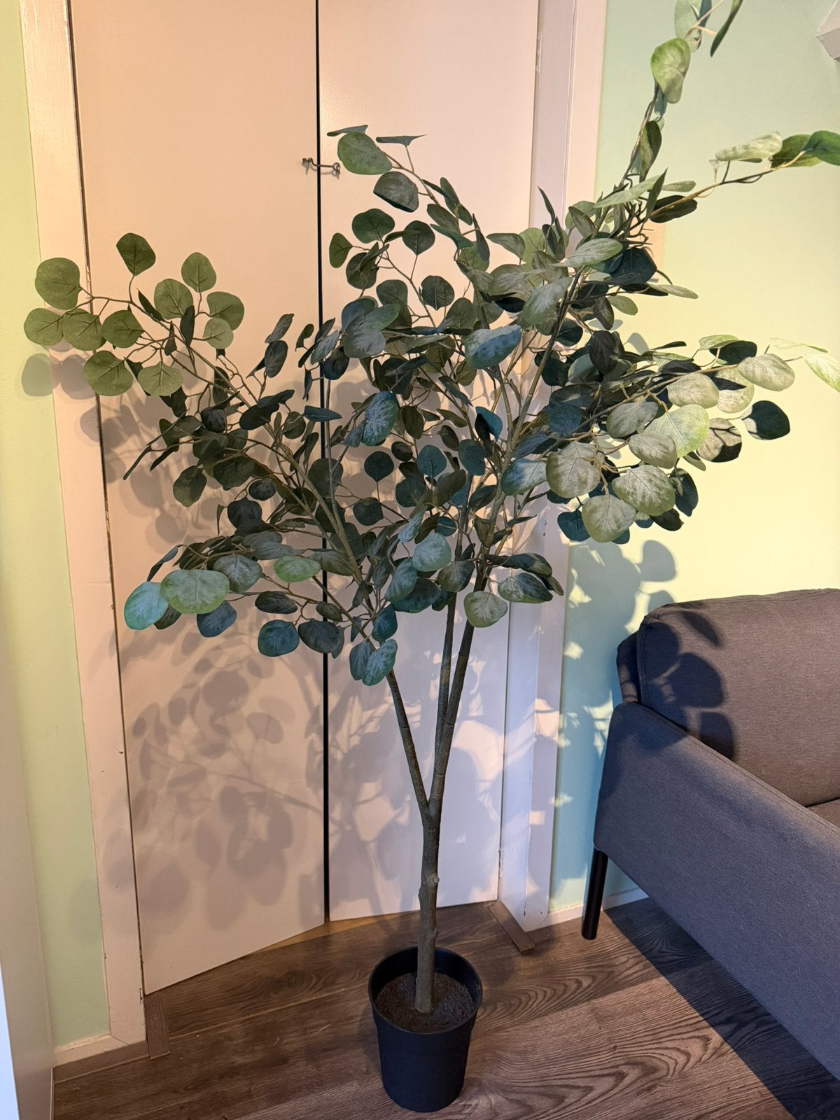 Kunstplant, binnen/buiten eucalyptus, Ophalen, Zo goed als nieuw, Binnen, 150 cm