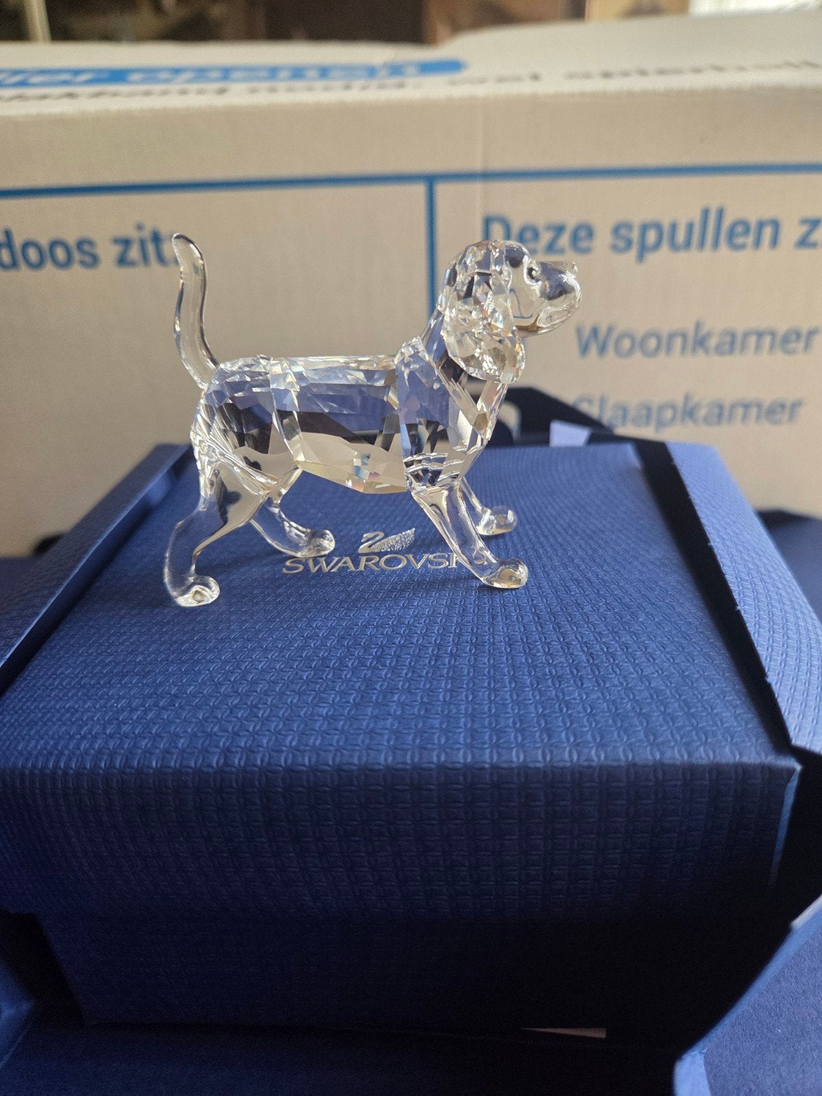 Swarovski  Beagle hond in doos, Ophalen of Verzenden, Nieuw, Figuurtje