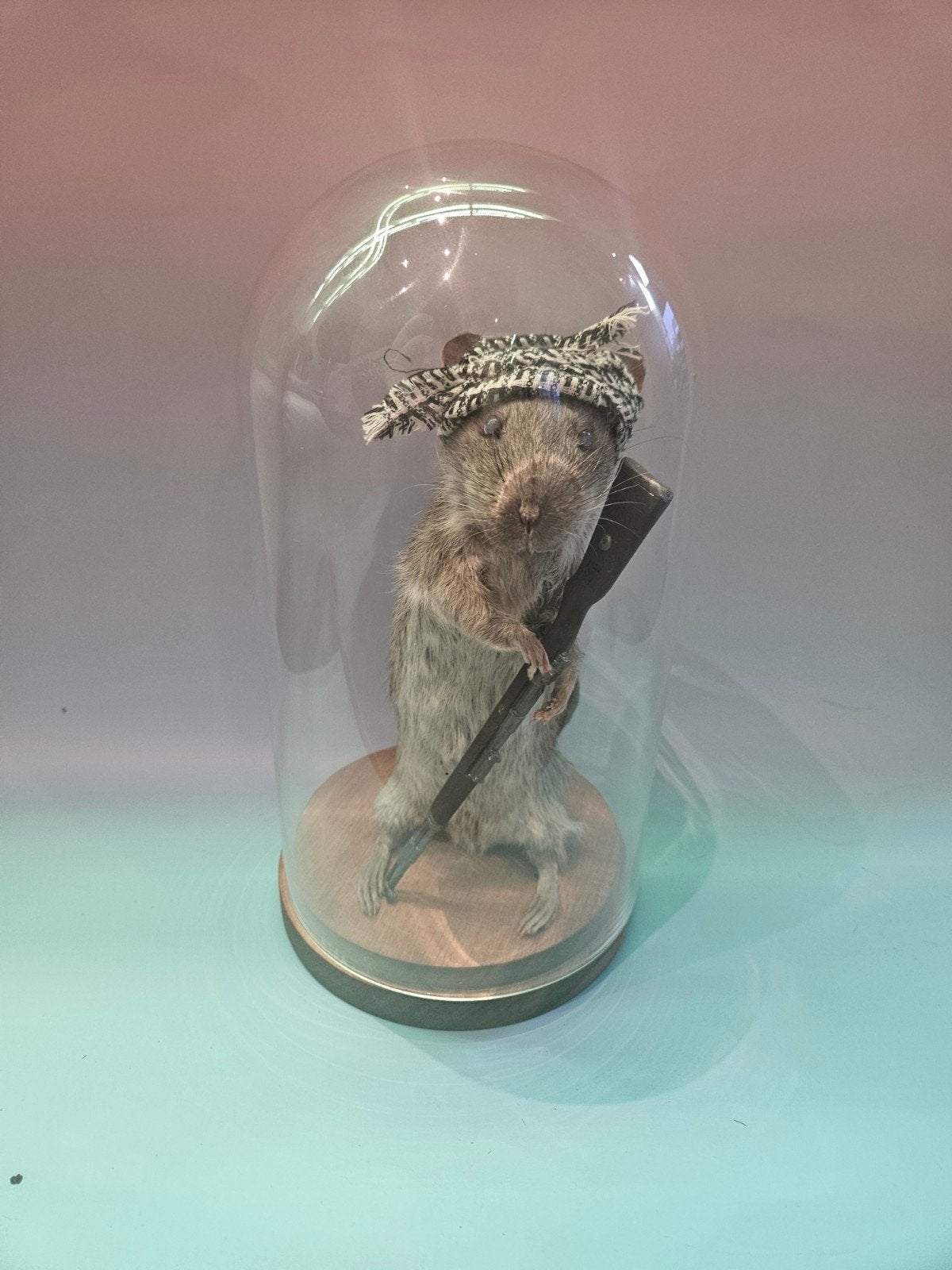 Taxidermy rat met geweer., Verzamelen, Dierenverzamelingen, Ophalen of Verzenden, Nieuw, Boerderijdier, Opgezet dier