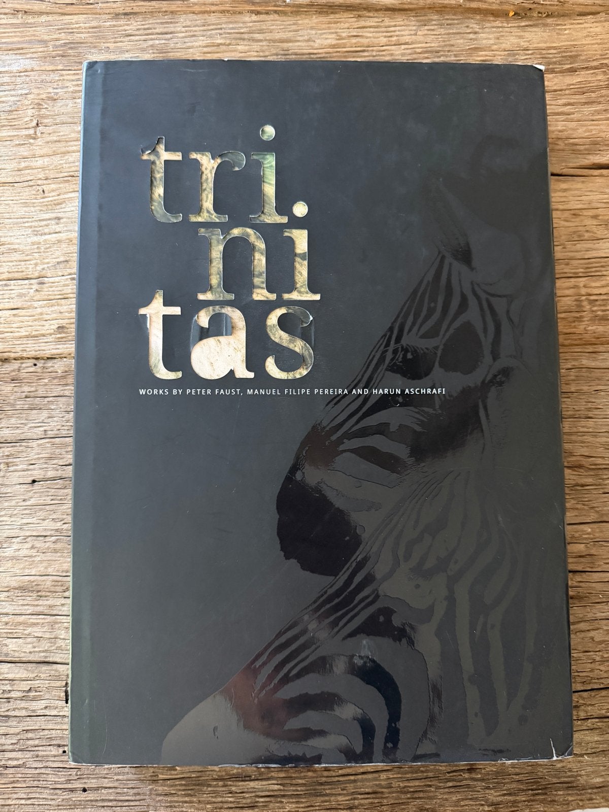 Trinitas: Peter Faust, Manuel Filipe Pereira, Harun Aschrafi, Ophalen of Verzenden, Zo goed als nieuw, Overige onderwerpen