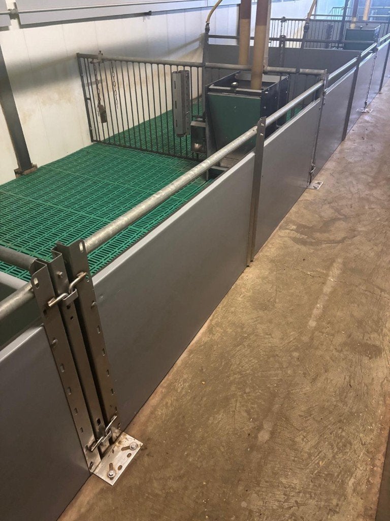 Hokinrichting voor biggen [582], Dieren en Toebehoren, Meerdere dieren, Schaap