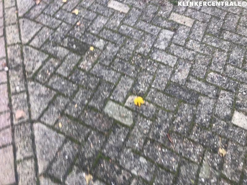 ROOIKORTING 350m2 heide grijs betonklinkers bkk bss, Tuin en Terras, Tegels en Klinkers, Bij dit gebruikte product niet meer te achterhalen.