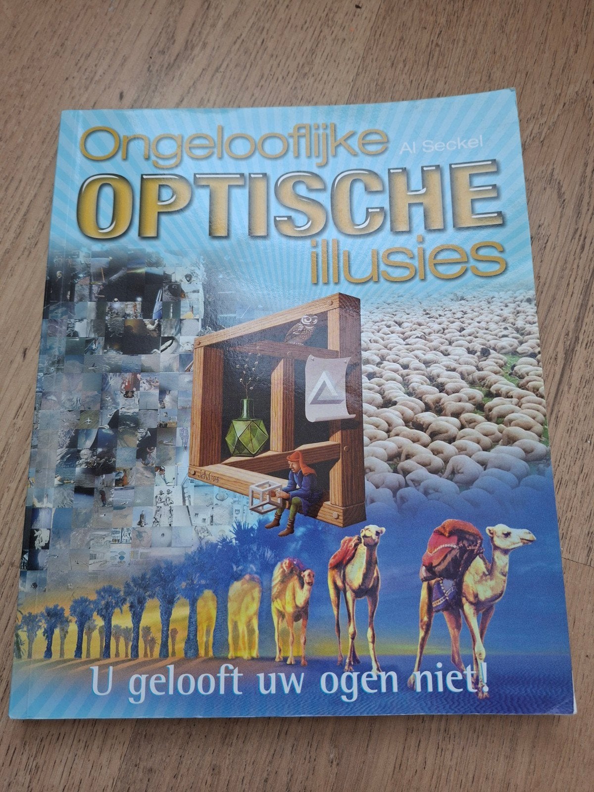 Ongelooflijke Optische Illusies - Al Seckel, Boeken, Ophalen of Verzenden, Gelezen, Al Seckel, Europa overig