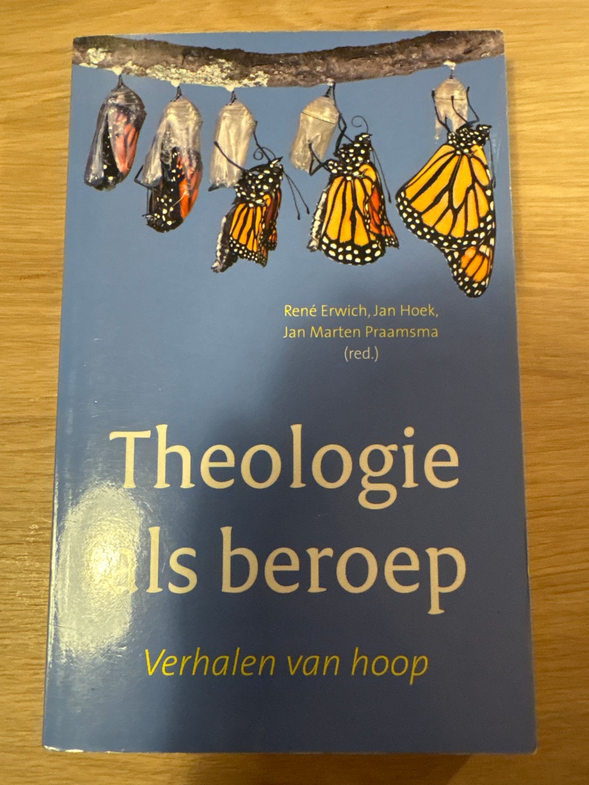 Theologie als beroep: Verhalen van hoop, Ophalen of Verzenden, Gelezen, Christendom | Protestants