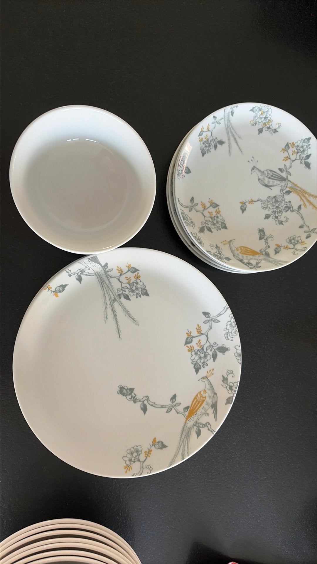 12-delig VIVO Villeroy & Boch – Limited Edition servies, Ophalen, Nieuw, Bord(en), Overige stijlen