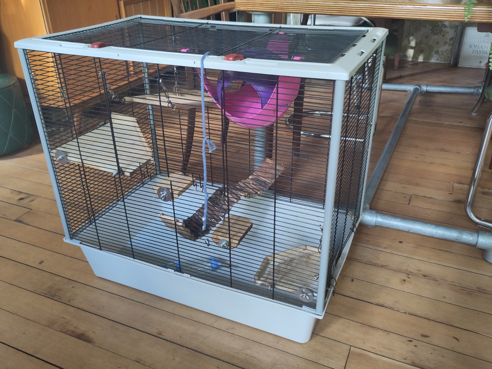 Rattenkooi, Dieren en Toebehoren, Knaagdieren en Konijnen | Hokken en Kooien, Ophalen, Minder dan 75 cm, 60 tot 90 cm