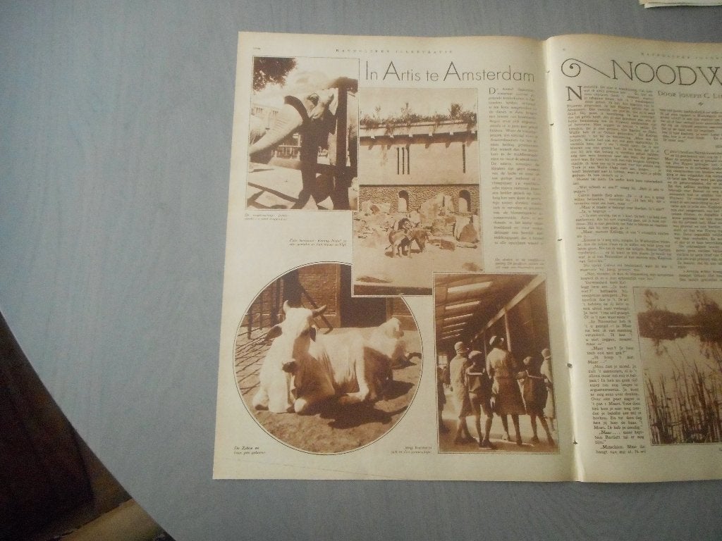Artis. September. 1929., Ophalen of Verzenden, 1920 tot 1940, Nederland, Knipsel(s)