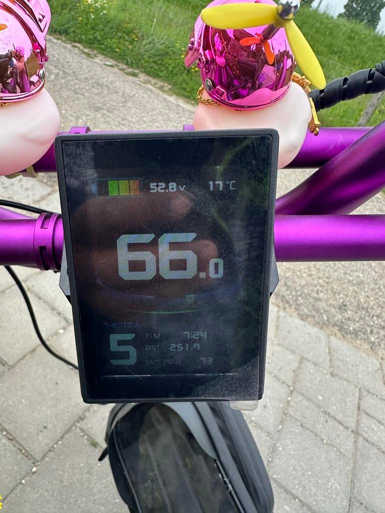 Fatbike 26 inch - Unieke paarse accenten, Overige merken, Gebruikt, Versnellingen, Schijfrem