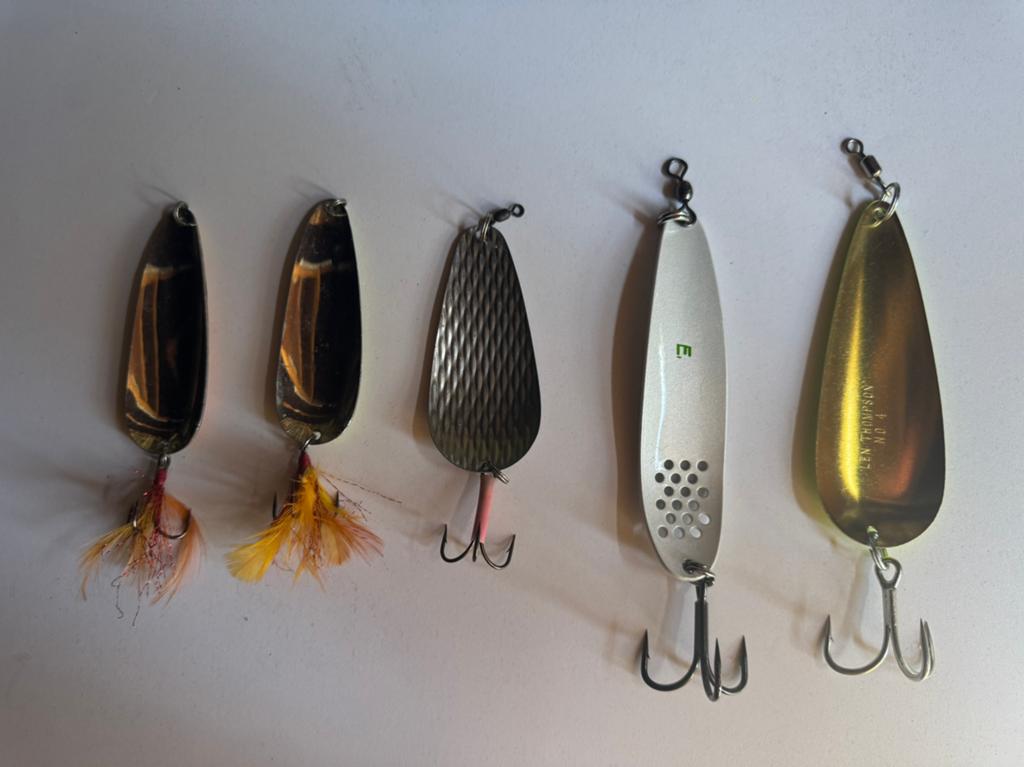Setje lepels, Watersport en Boten, Ophalen of Verzenden, Zo goed als nieuw, Overige typen