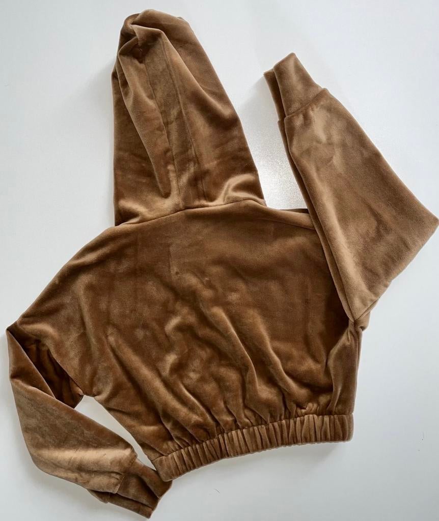 Stijlvolle Camel Cropped Hoodie - LS Tex Moda (98/104), Ophalen of Verzenden, Nieuw, Meisje, Trui of Vest