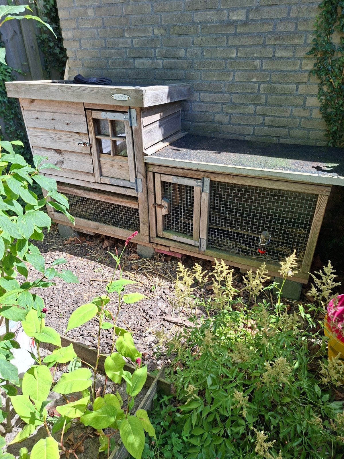 Konijnenhok, Dieren en Toebehoren, Knaagdieren en Konijnen | Hokken en Kooien, Ophalen, 110 cm of meer, Hok, 90 cm of meer