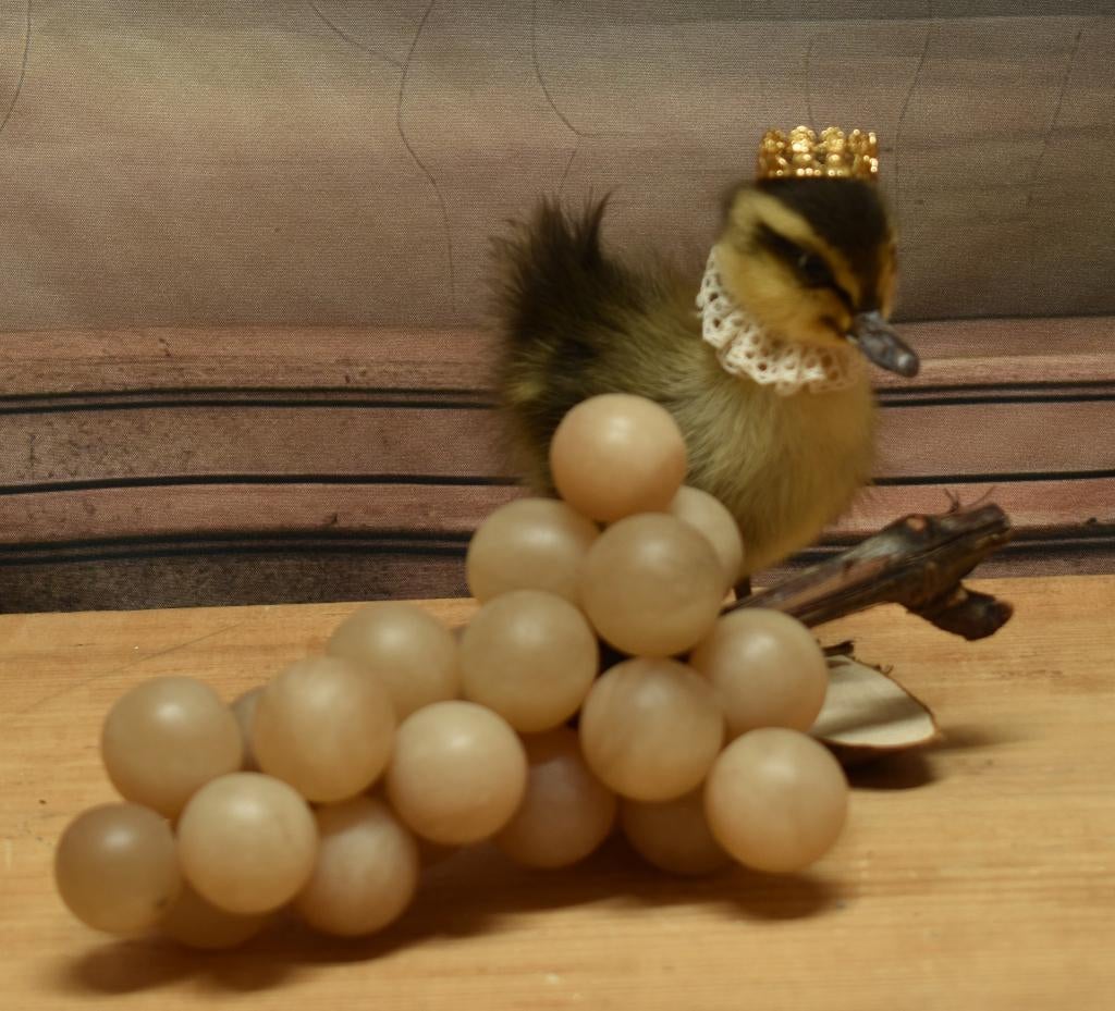 Albast druiventros. "Uit Aletta's Tijd", Ophalen of Verzenden
