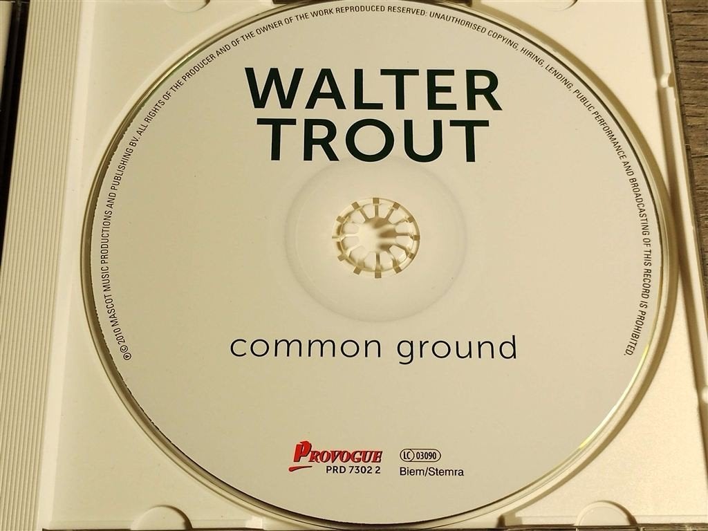 Walter Trout ‎– Common Ground, Ophalen of Verzenden, Zo goed als nieuw, Jazz