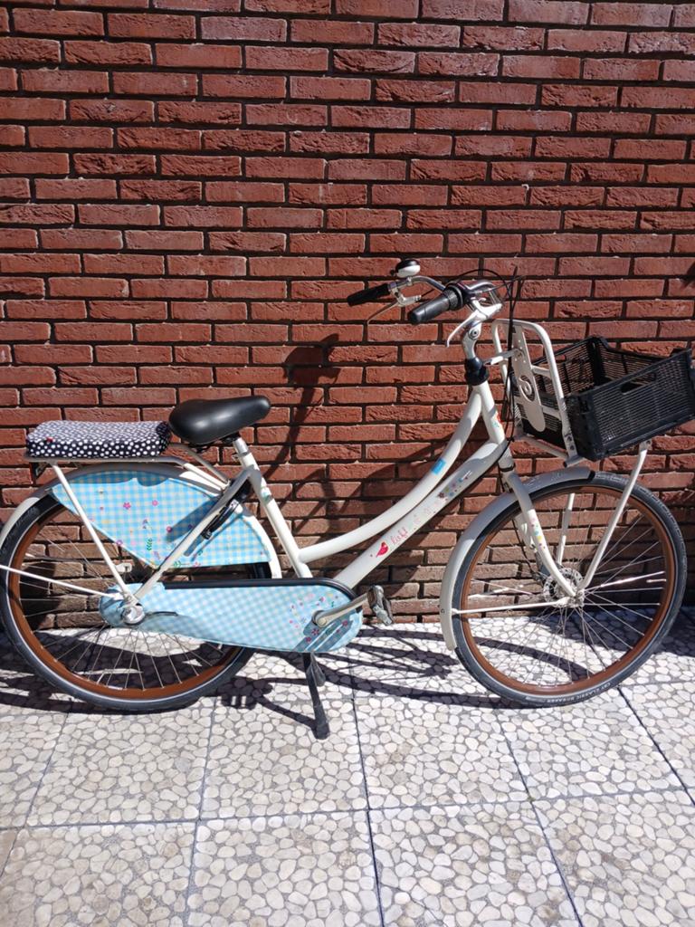 Lief moeder fiets cortina, Fietsen en Brommers, Gebruikt, Mandje, 50 tot 53 cm, Ophalen