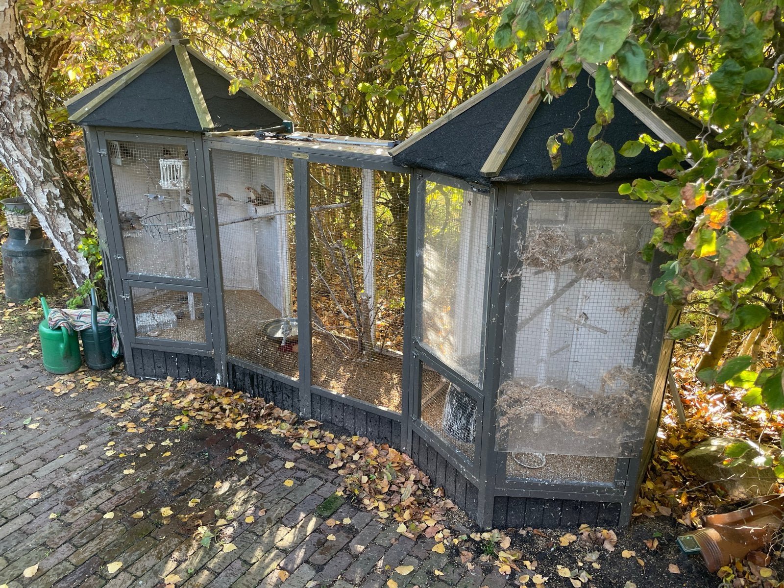 Gratis vogels en volière, Ophalen of Verzenden, Hout, Volière