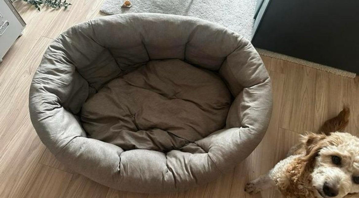Hondenmand Ferplast Sofa Dove – inclusief kussen., Ophalen, Gebruikt, Overige
