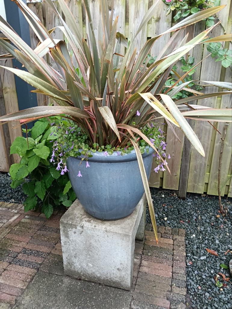 inkl.planten, Ophalen of Verzenden, Overige soorten, Volle zon