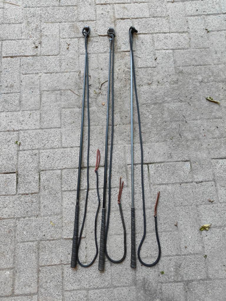 Traingsstick / carrot stick met string 2x, Ophalen of Verzenden, Overige soorten