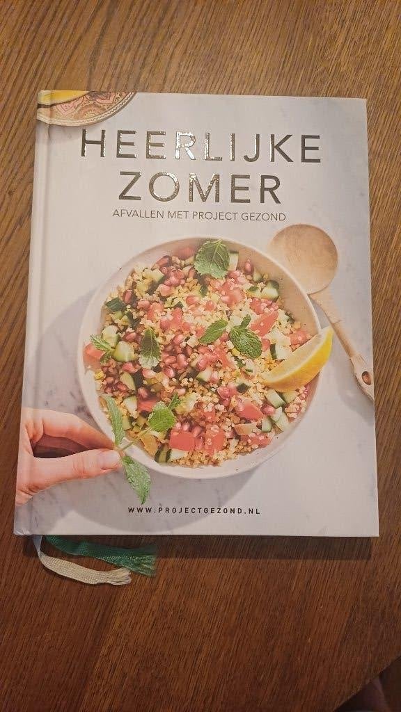 Boek Project Gezond heerlijke zomer., Ophalen of Verzenden, Zo goed als nieuw, Dieet en Voeding, Natalia Rakhorst; Walter Rakhorst