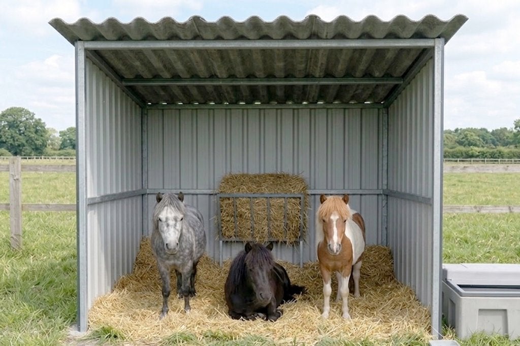 Kleine schuilstal voor pony's - stevig en onderhoudsarm, Stalling, 2 of 3 paarden of pony's