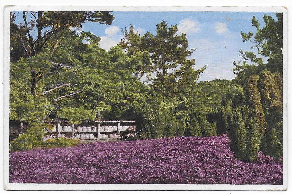 Nederland De Heide  Ansichtkaart  uit 1930   ( B8191), Ophalen of Verzenden, 1920 tot 1940, Gelopen