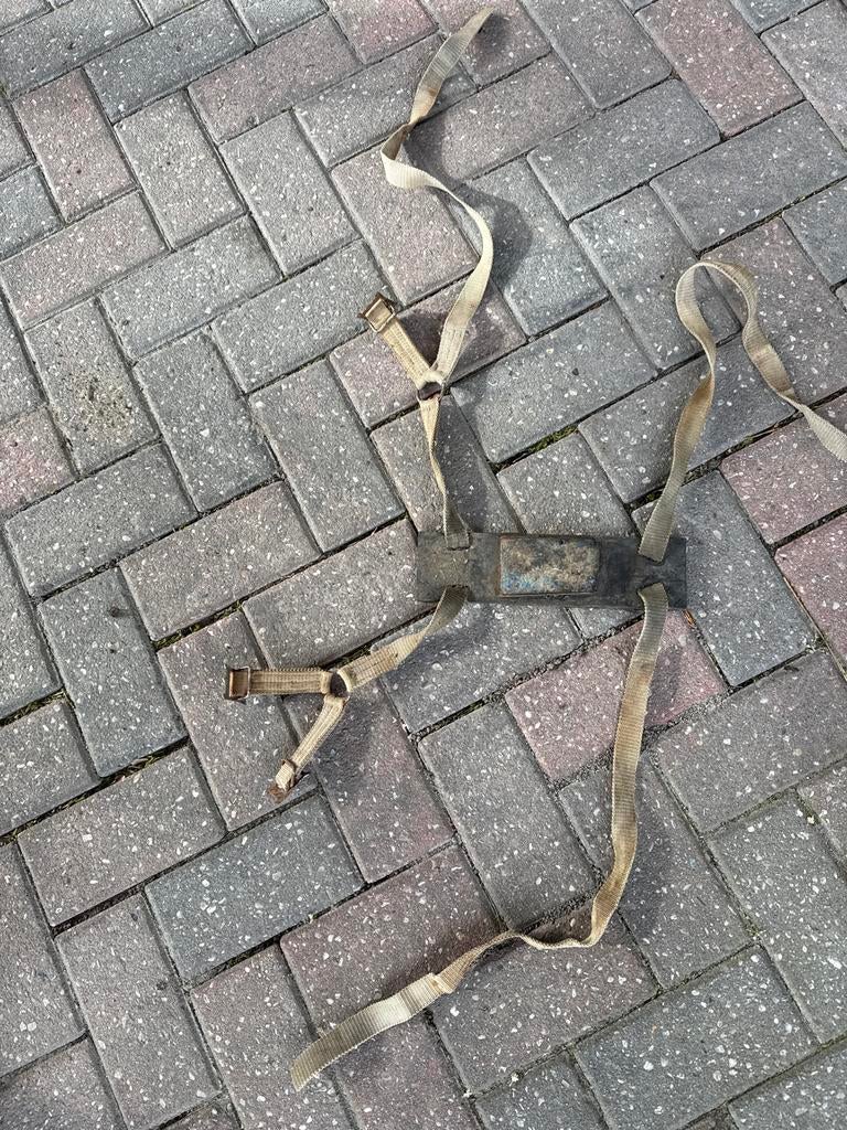 Dektuig voor ram, Mannelijk, Schaap