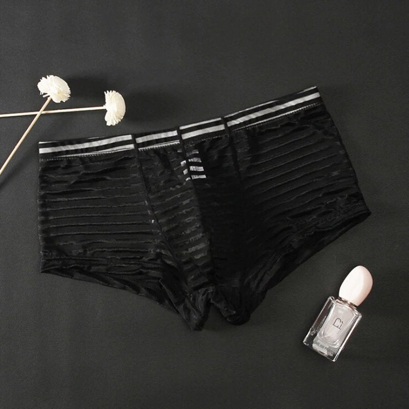 Zwarte doorzichtige gestreepte heren boxer, Kleding | Heren, Verzenden, Zwart, Boxer