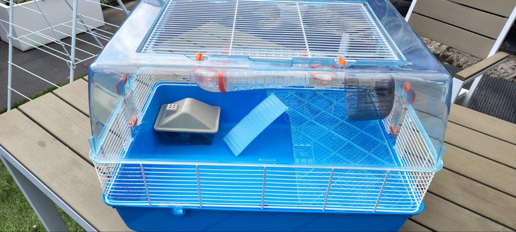 Bak voor hamster of andere kleine knaagdieren., Dieren en Toebehoren, Knaagdieren, Maart, Geslacht onbekend, Hamster