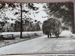 Lunteren Boslaan, Ophalen of Verzenden, Voor 1920, Gelopen, Noord-Brabant