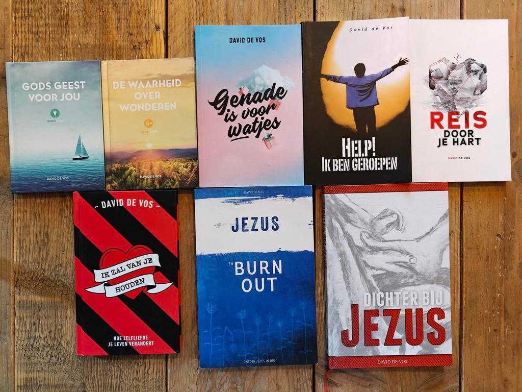 8 Boeken van David de Vos., Boeken, Ophalen of Verzenden, Zo goed als nieuw