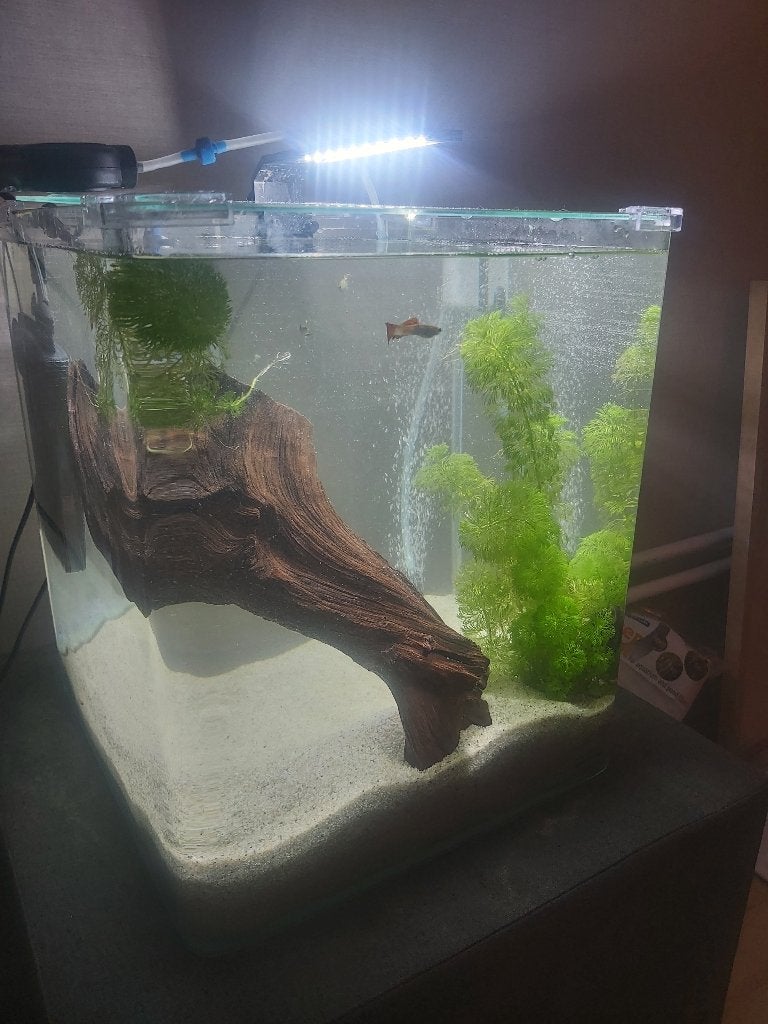 Nano Cube Aquarium + toebehoren, Ophalen, Gebruikt, Leeg aquarium, Dennerle