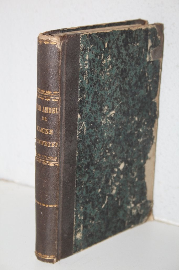 De kleine profeten, door J. van Andel pred. Leeuwarden 1881, Ophalen of Verzenden, Gelezen, Christendom | Protestants