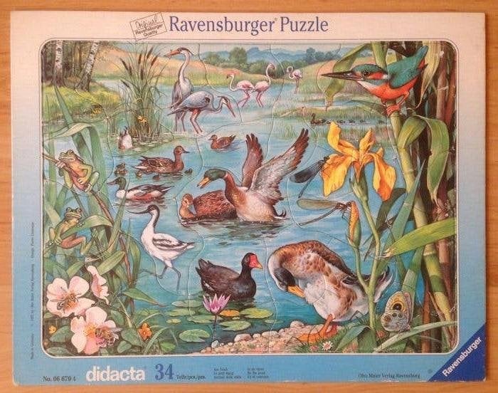 Puzzel , in de vijver, Verzenden, 10 tot 50 stukjes, Zo goed als nieuw, 4 tot 6 jaar