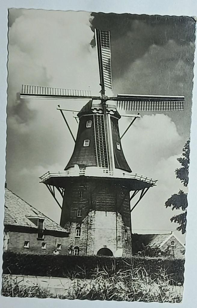Winschoten ( Gr. ) Molen Dijkstra a./h.  diep jaren vijftig, Verzenden, 1940 tot 1960, Ongelopen, Groningen