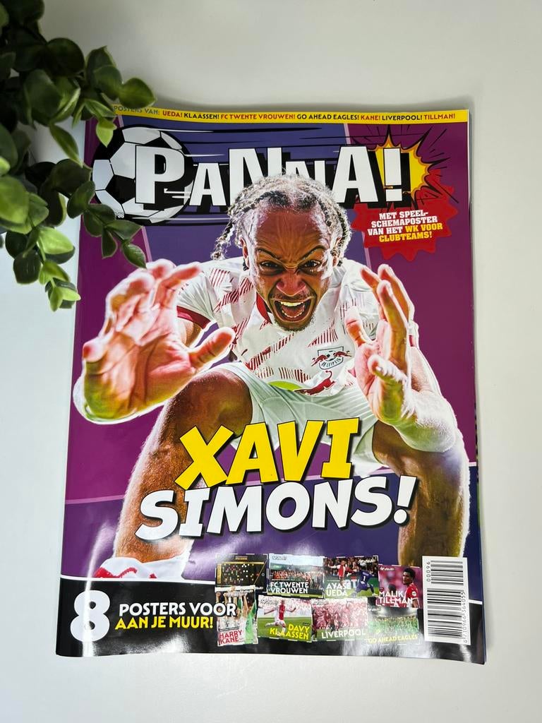 PANNA! Magazine 96 Tijdschrift Voetbal, Ophalen of Verzenden, Zo goed als nieuw, Sport en Vrije tijd