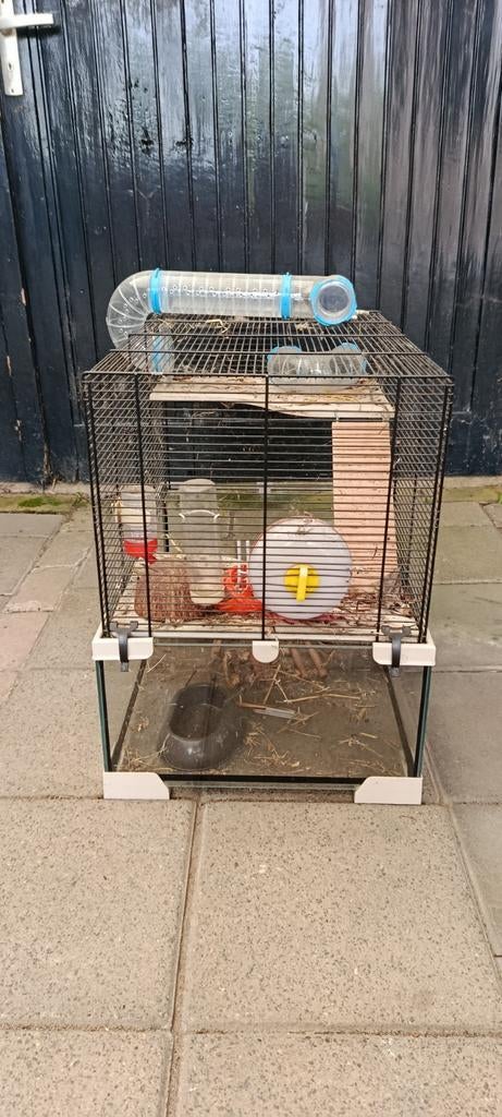 Hamsterhok, Gebruikt, Minder dan 75 cm, Hok, Ophalen