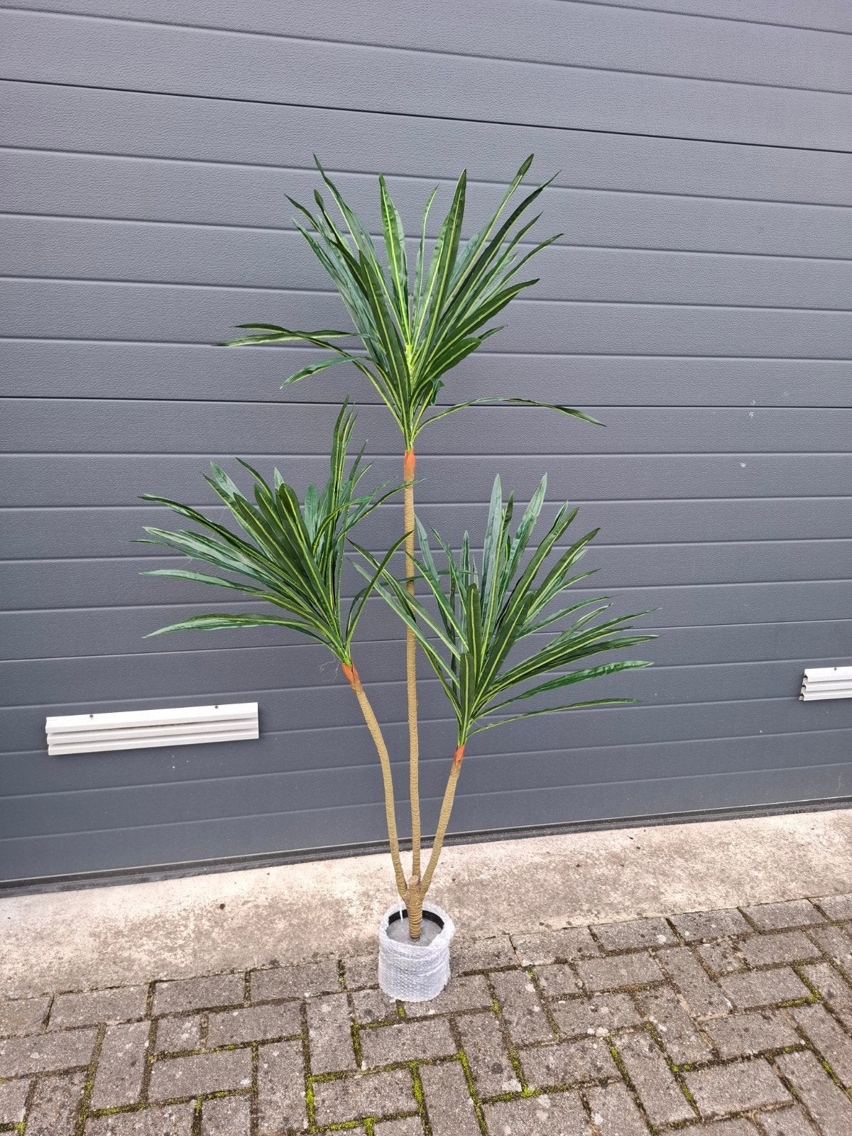kunstplant dracena drakenbloed, Ophalen, Binnen, Lankforst, 160 cm