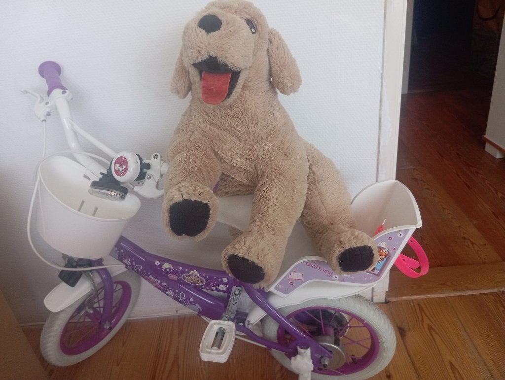 Fiets, Fietsen en Brommers, Fietsen | Dames | Damesfietsen, Ophalen of Verzenden, Zo goed als nieuw, Overige merken