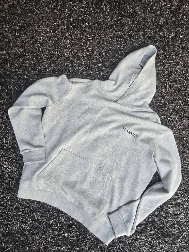 Flâneur hoodie grijs maat L NIEUW, Kleding | Heren, Truien en Vesten, Ophalen of Verzenden