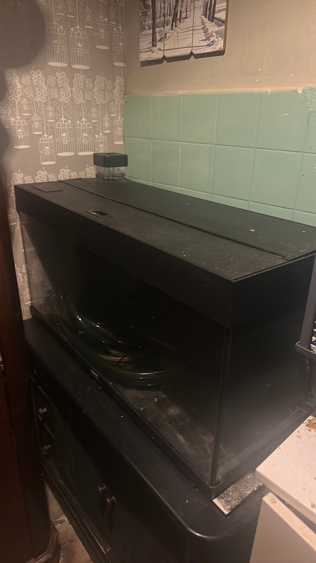 Aquarium Juwel, Dieren en Toebehoren, Ophalen, Gebruikt