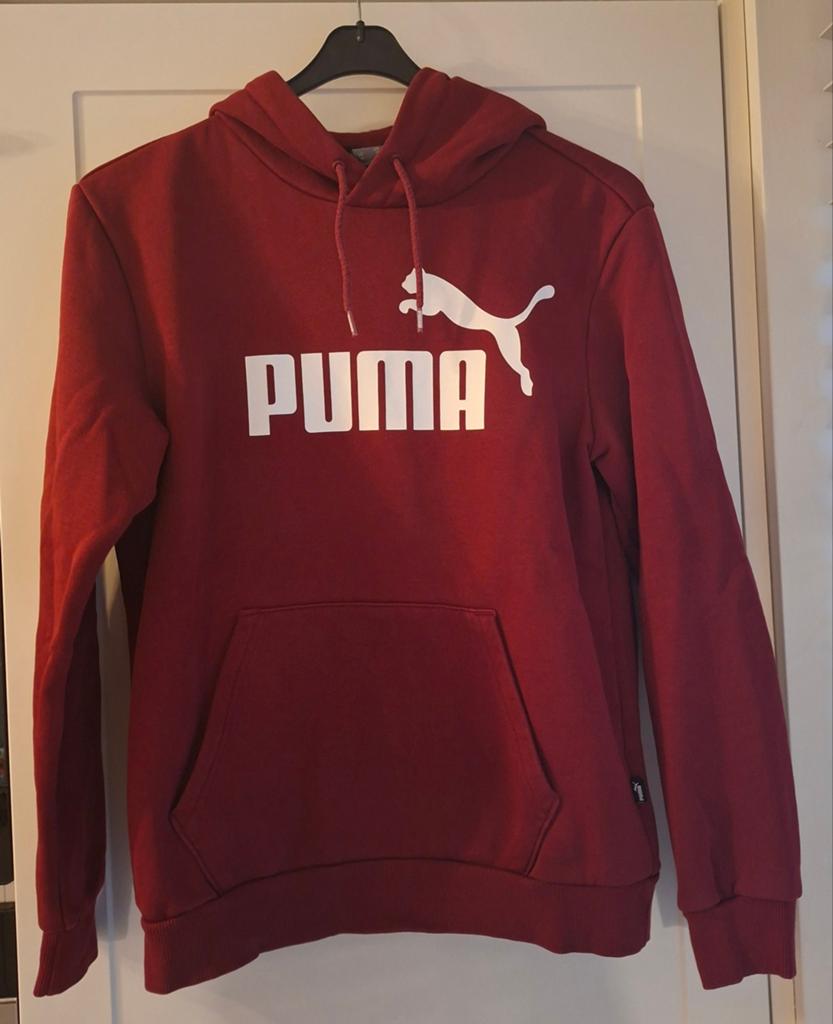 Hoodie Puma, Kinderen en Baby's, Kinderkleding | Maat 170, Ophalen of Verzenden, Jongen of Meisje, Trui of Vest